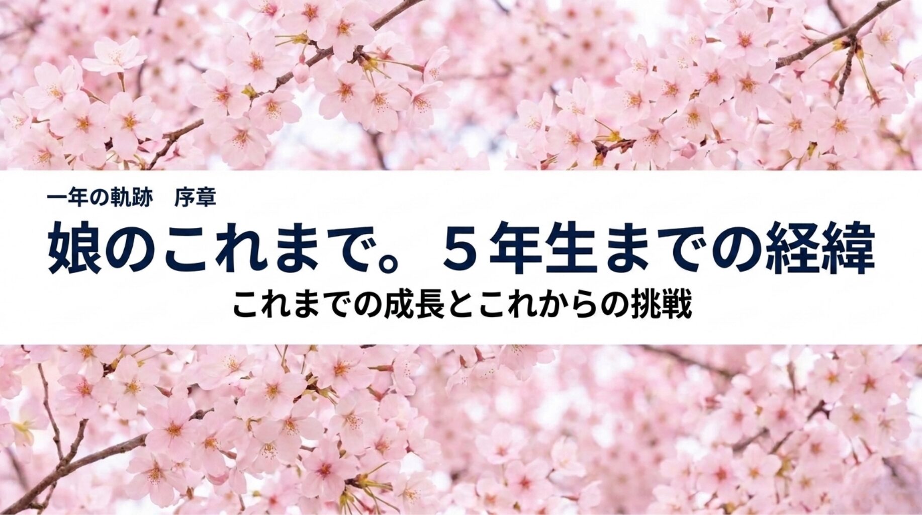 娘のこれまで。５年生までの経緯