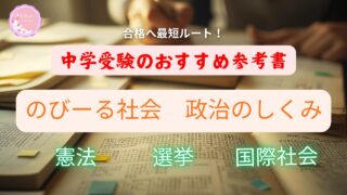 のびーる社会　政治のしくみ